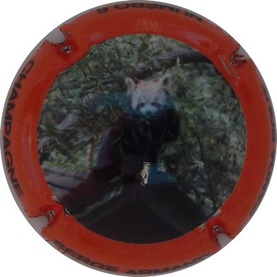 N°12 Panda roux, contour orange
Photo Champ'Alsacollection
