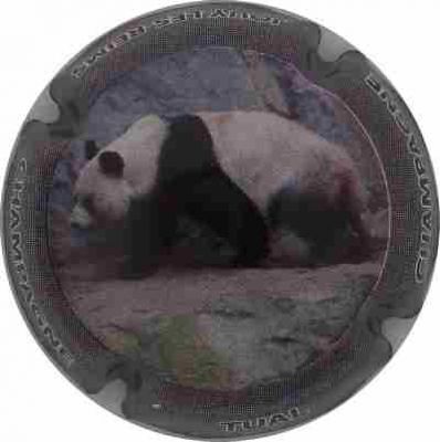 N°04 Série de 3 (panda)
Photo Champ'Alsacollection
