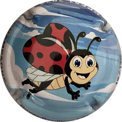 N°06e Coccinelle, 2024, 120 expl
Photo Bruno HEBMANN GONTIER
