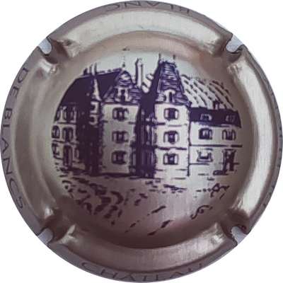 N°07a Or pâle et violet
Photo Christophe LELU
