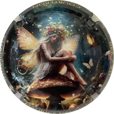 N°115c Fée, 240 expl
Photo Bruno HEBMANN GONTIER
