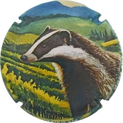 N°1432j 11 sur 12 Blaireau
Photo Jacky MICHEL
