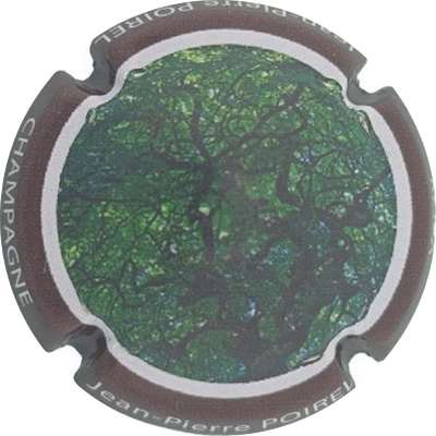 N°11b Les faux, contour marron
Photo Jacky MICHEL
