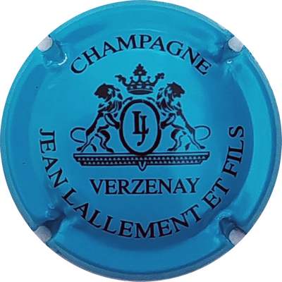 N°13g Turquoise et noir
Photo Christophe LELU
