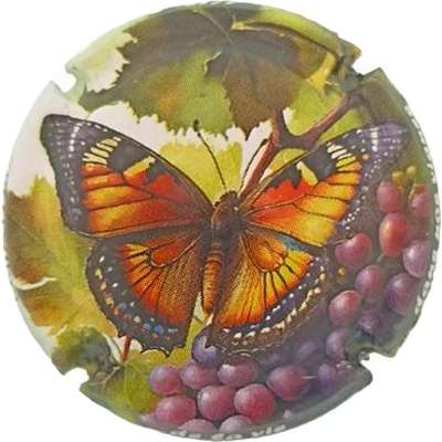 N°1432 01 sur 12 Papillon
Photo Jacky MICHEL
