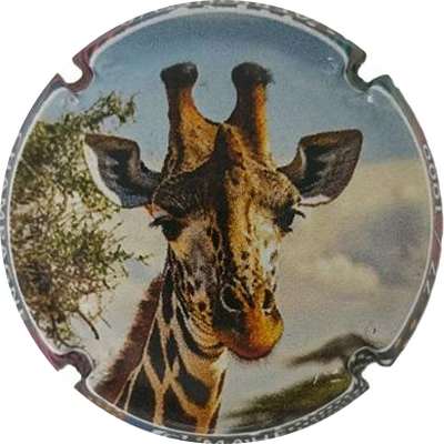 N°12 Afrique, girafe, 1000 expl
Photo Jacky MICHEL
