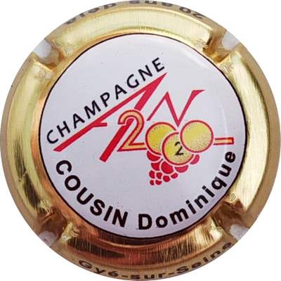 N°1112d Dominique COUSIN, contour or
Photo Christophe LELU
