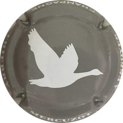 N°27f Gris, oie blanche
Photo Bruno HEBMANN GONTIER
