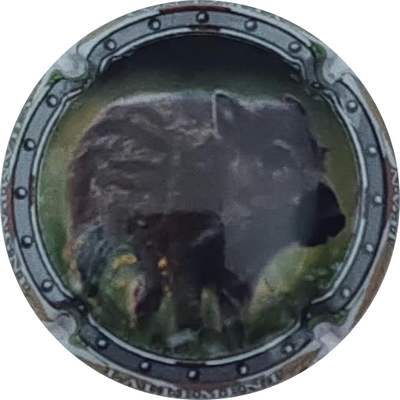 N°28 Sanglier
Photo Christophe LELU
