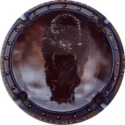 N°28a Sanglier
Photo Christophe LELU
