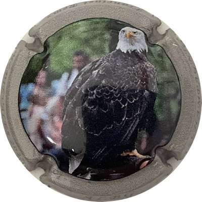 N°28c Albg, aigle, contour gris
Photo Bruno HEBMANN GONTIER
