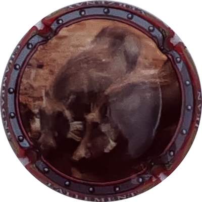 N°28c Sanglier
Photo Christophe LELU
