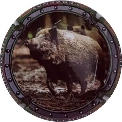 N°28d Sanglier
Photo Christophe LELU
