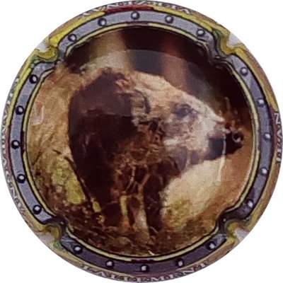 N°28e Sanglier
Photo Christophe LELU
