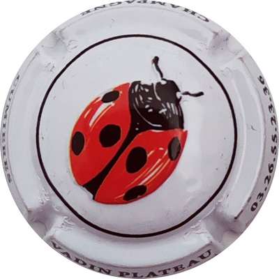 N°34 Coccinelle, fond blanc
Photo Christophe LELU
