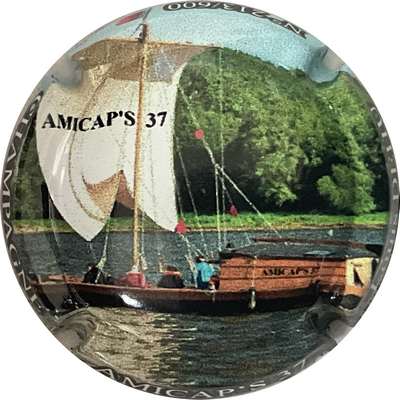 N°374a Amicap's 37, 600 expl
Photo Bruno HEBMANN GONTIER
