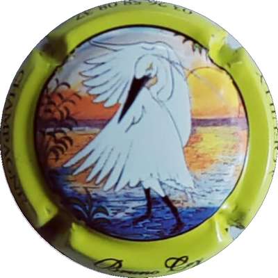 N°39g Contour vert-jaune
Photo Christophe LELU
