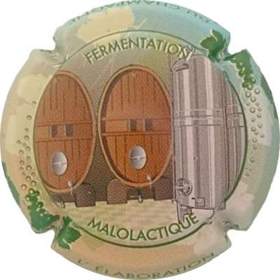N°1433c 04 sur 12 Fermentation malolactique
Photo Jacky MICHEL
