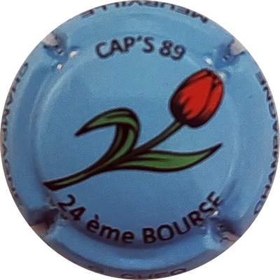 N°11x Cap's 89, 24 ème bourse, tulipe, 540 expl 
Photo Christophe LELU
