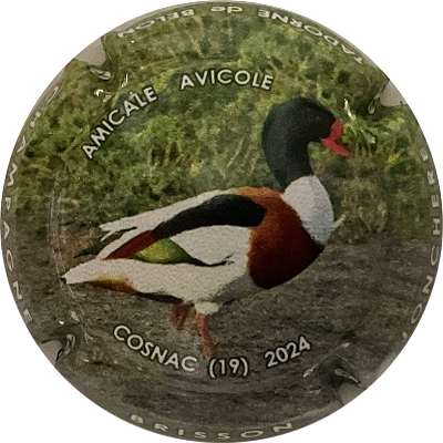 N°058e Cosnac 224
Photo Bruno HEBMANN GONTIER
