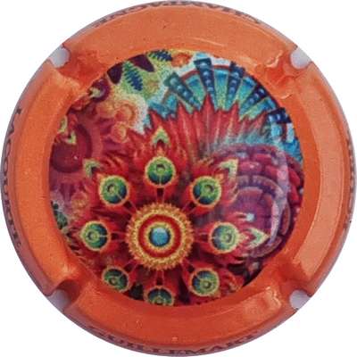 N°68a Contour orange
Photo Christophe LELU
