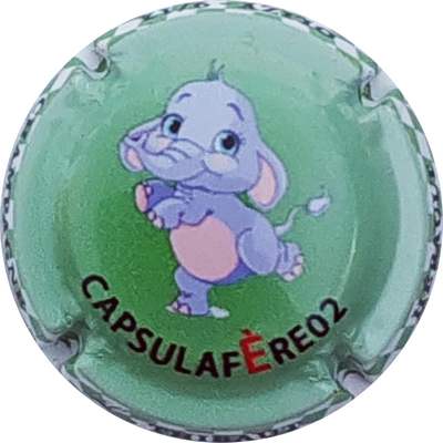 N°07n Cpasulafere02-2022, éléphant, 09 sur 12
Photo Christophe LELU
