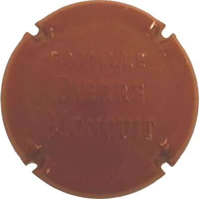 N°09a Estampée bordeaux
Photo Jacky MICHEL
