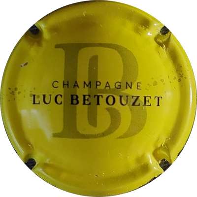 N°09b Jaune et noir
Photo Christine BRUYERE
