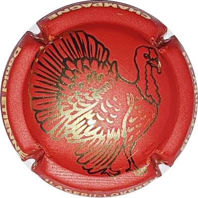 N°09f Dinde
Photo Christophe LELU
