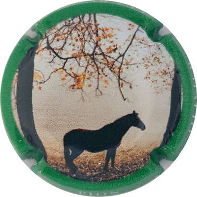 N°NR Cheval, contour vert
Photo Joëlle MENNERET
Mots-clés: NR
