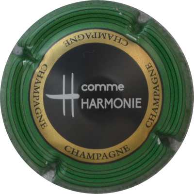 N°0928a H comme Harmonie, contour vert
Photo GOURAUD Jacques
