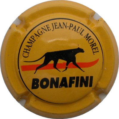 N°05 BONAFINI, jaune
Photo GOURAUD Jacques
