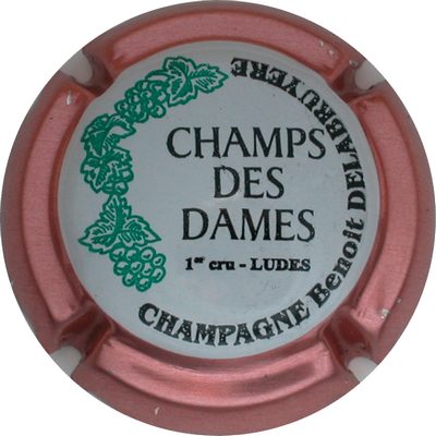 N°06 Série de 6, Champs des dames, contour rosé
Photo GOURAUD Jacques
