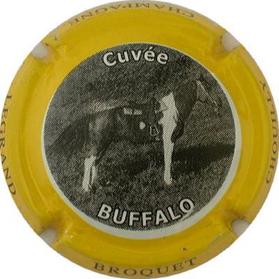 N°04a Série de 6 (Buffalo), contour jaune
Photo GOURAUD Jacques

