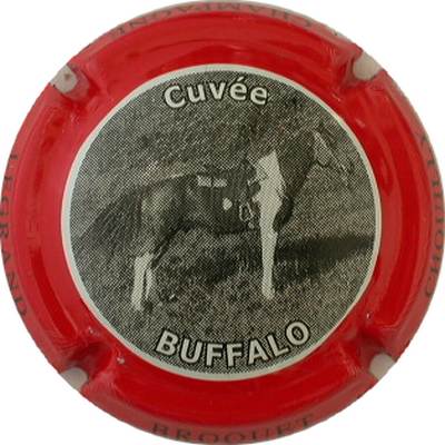 N°04a Série de 6 (Buffalo), contour rouge
Photo GOURAUD Jacques
