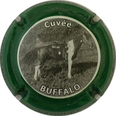 N°04a Série de 6 (Buffalo), contour vert 
Photo GOURAUD Jacques
