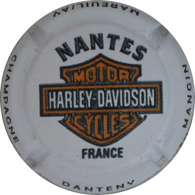 _N°NR Harley-Davidson, Nantes, en relief
Photo Jacques GOURAUD
Mots-clés: NR