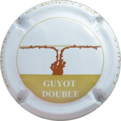 N°0891a Guyot Double
Photo GOURAUD Jacques
