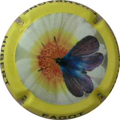 N°04 Série de 5 (papillon), contour jaune
Photo GOURAUD Jacques

