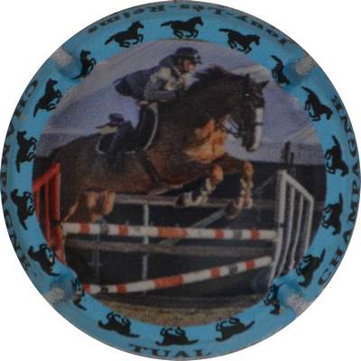 N°NR Série de 6 (chevaux) contour bleu
Photo Jacques GOURAUD
Mots-clés: NR