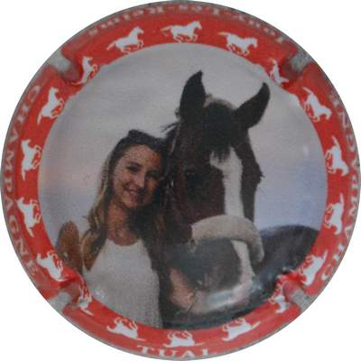 N°NR Série de 6 (chevaux) contour rouge
Photo Jacques GOURAUD
Mots-clés: NR