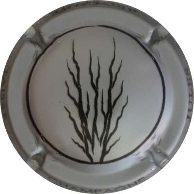 N°01 Gris-argenté et noir
Photo Martine PUPIN
Mots-clés: NR