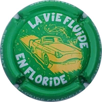 N°04 Série de 4 (la vie fluide) fond vert
Photo Christophe LELU
