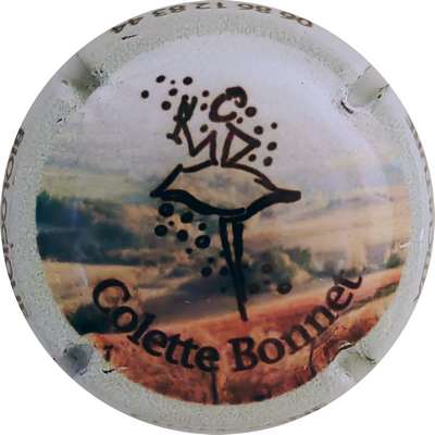 N°04 Vigne, contour gris clair
Photo Bruno HEBMANN GONTIER
