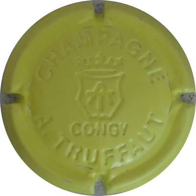 N°05zd Estampée, vert-jaune
Photo jacques GOURAUD
