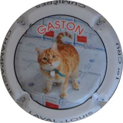 N°07 Série de 4 Chats Gaston
Photo Jacques GOURAUD
