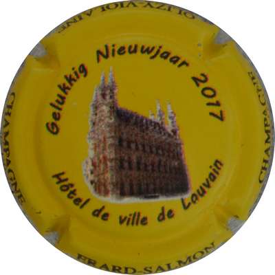 N°08 Hotel de ville de Louvin, 2017
Photo Jacques GOURAUD
