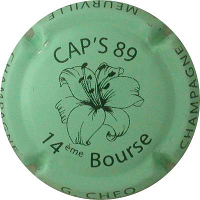 N°09 CAP'S 89, 14 ème bourse, vert pâle et noir
Photo Jacques GOURAUD
