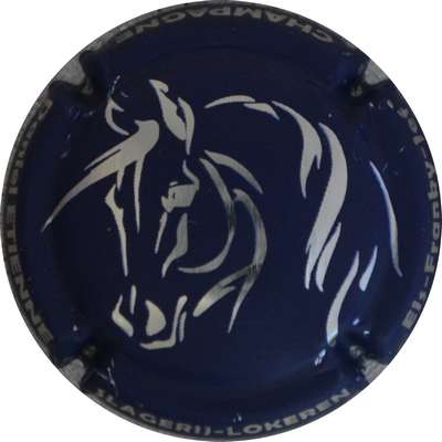 N°09h Bleu-nuit et métal, cheval
Photo Jacques GOURAUD
