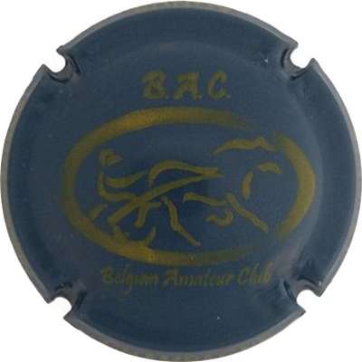 N°09o Bleu foncé et jaune pâle
Photo Jacky MICHEL
